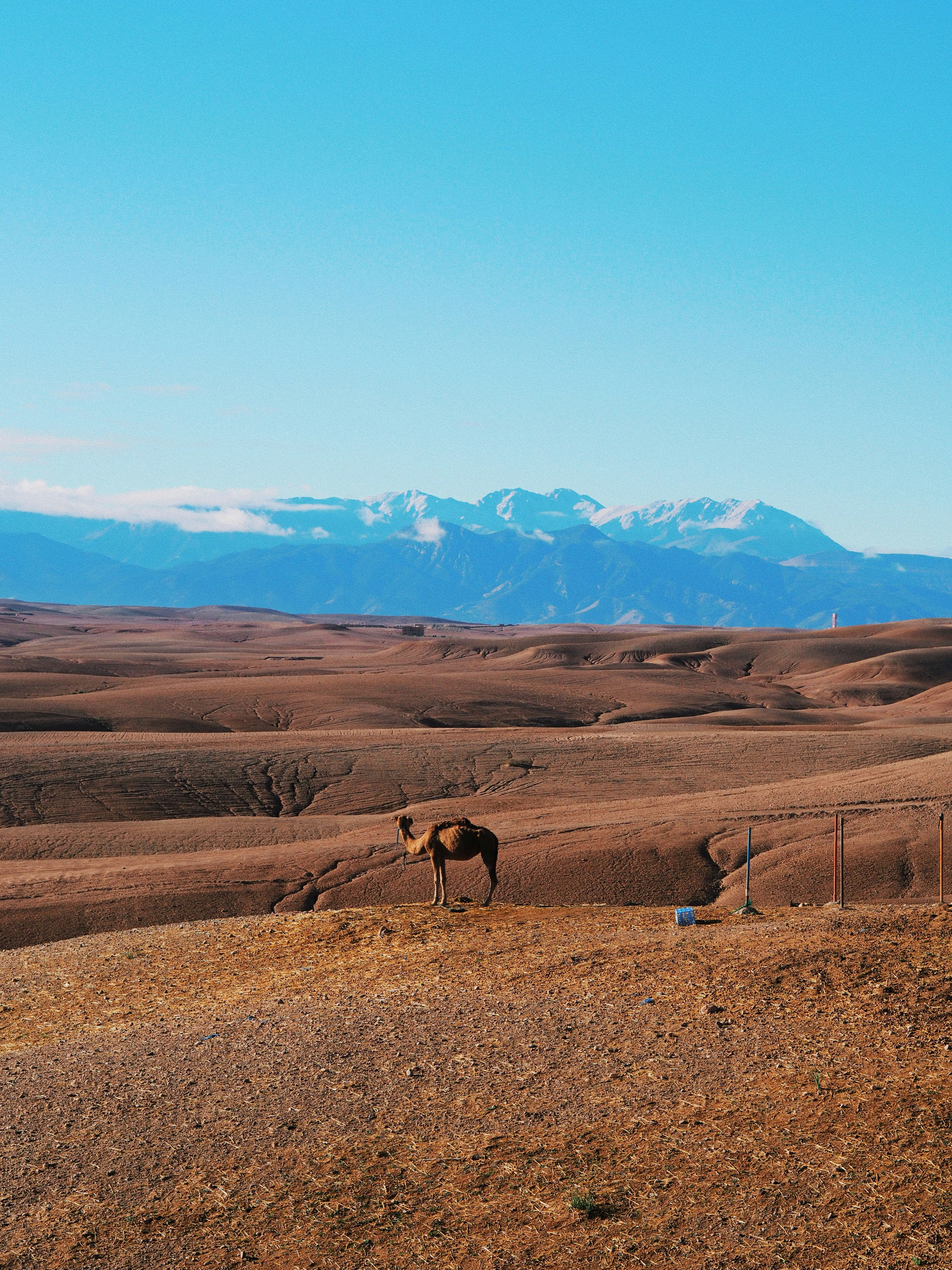 Agafay Desert